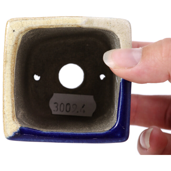 Maceta de bonsái cuadrada azul de Terahata Satomi Mazan - 65 x 65 x 70 mm