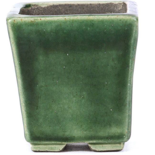 Maceta de bonsái verde cuadrada de Terahata Satomi Mazan - 65 x 65 x 70 mm