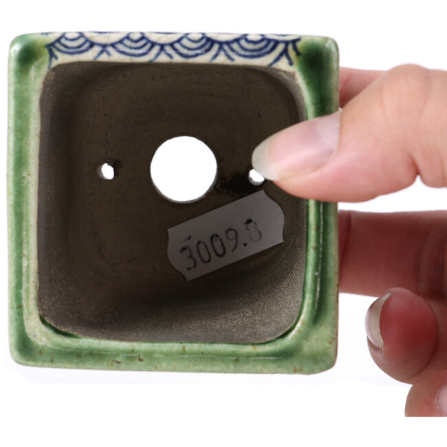 Square green bonsai pot by Terahata Satomi Mazan - 65 x 65 x 70 mm