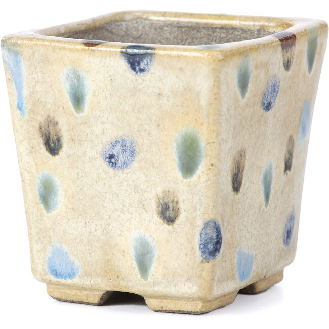 Square beige bonsai pot by Terahata Satomi Mazan - 65 x 65 x 70 mm