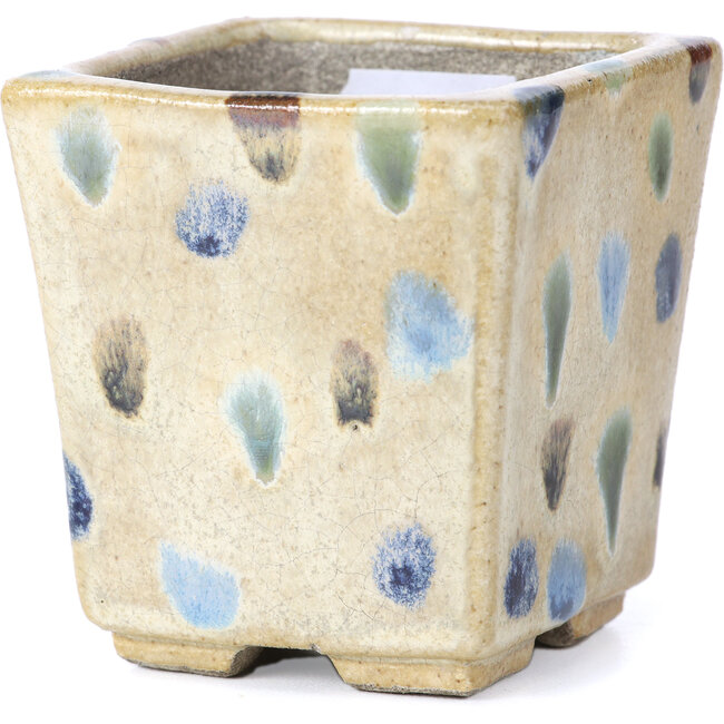 Maceta de bonsái cuadrada beige de Terahata Satomi Mazan - 65 x 65 x 70 mm