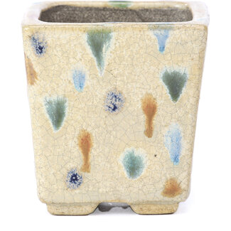  Satomi Mazan, Mazan Terahata Pot à bonsaï beige carré 65 mm par Terahata Satomi Mazan, Tokoname, Japon