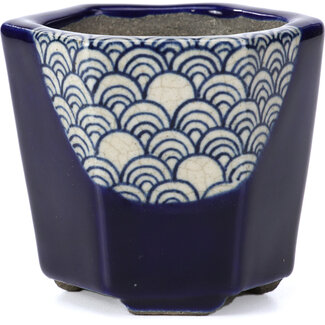  Satomi Mazan, Mazan Terahata 73 mm sechseckige blaue Bonsaischale von Terahata Satomi Mazan, Tokoname, Japan