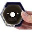 Pot à bonsaï bleu hexagonal par Terahata Satomi Mazan - 73 x 65 x 65 mm