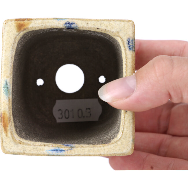 Square beige bonsai pot by Terahata Satomi Mazan - 65 x 65 x 70 mm
