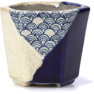  Satomi Mazan, Mazan Terahata Vaso per bonsai esagonale blu da 73 mm di Terahata Satomi Mazan, Tokoname, Giappone