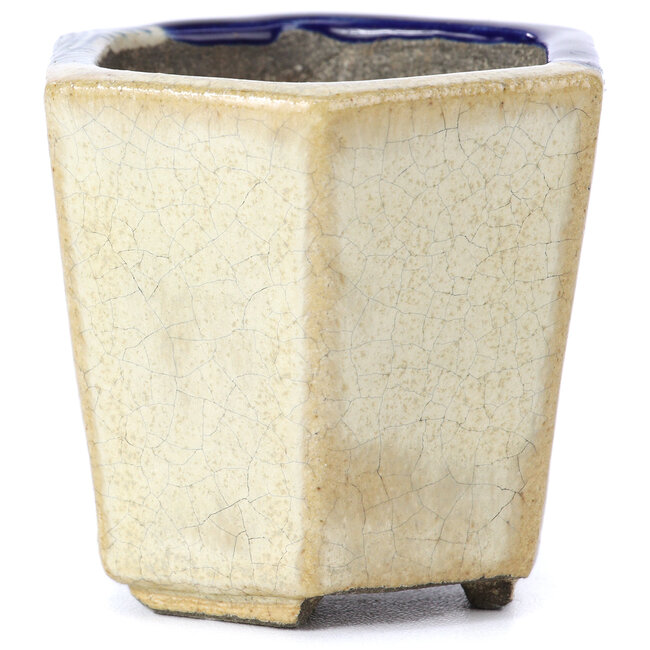 Maceta de bonsái hexagonal beige de Terahata Satomi Mazan - 73 x 65 x 65 mm