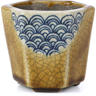  Satomi Mazan, Mazan Terahata Vaso per bonsai esagonale beige da 73 mm di Terahata Satomi Mazan, Tokoname, Giappone