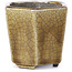 Sechseckige beige Bonsaischale von Terahata Satomi Mazan - 73 x 65 x 65 mm