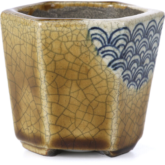 Pot à bonsaï hexagonal beige par Terahata Satomi Mazan - 73 x 65 x 65 mm