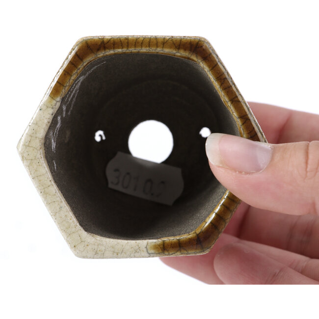 Maceta de bonsái hexagonal beige de Terahata Satomi Mazan - 73 x 65 x 65 mm