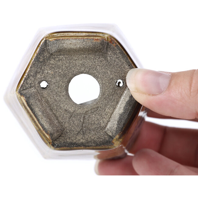 Maceta de bonsái hexagonal beige de Terahata Satomi Mazan - 73 x 65 x 65 mm