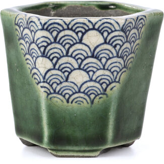  Satomi Mazan, Mazan Terahata Pot à bonsaï vert hexagonal 73 mm par Terahata Satomi Mazan, Tokoname, Japon