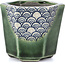Pot à bonsaï hexagonal vert par Terahata Satomi Mazan - 73 x 65 x 65 mm