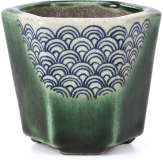  Satomi Mazan, Mazan Terahata Pot à bonsaï vert hexagonal 73 mm par Terahata Satomi Mazan, Tokoname, Japon