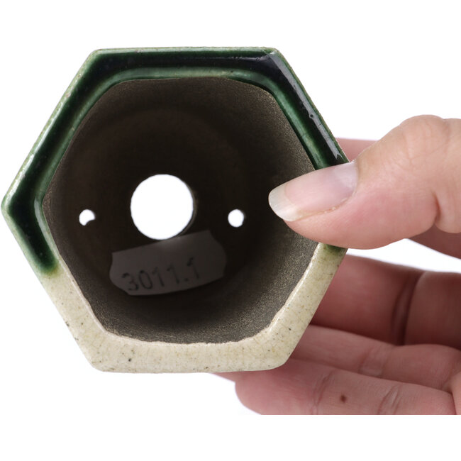 Maceta de bonsái verde hexagonal de Terahata Satomi Mazan - 73 x 65 x 65 mm