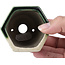 Hexagonal green bonsai pot by Terahata Satomi Mazan - 73 x 65 x 65 mm