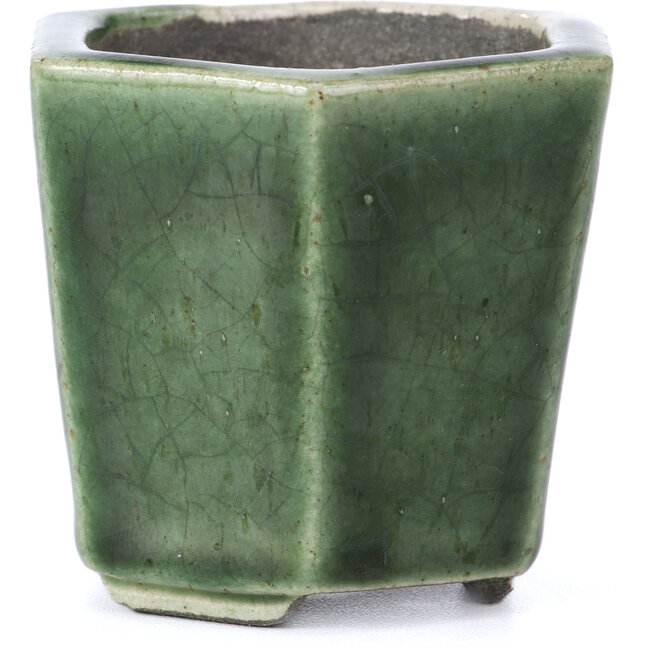 Vaso per bonsai verde esagonale di Terahata Satomi Mazan - 73 x 65 x 65 mm
