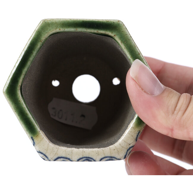 Maceta de bonsái verde hexagonal de Terahata Satomi Mazan - 73 x 65 x 65 mm
