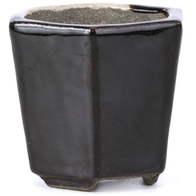 Pot à bonsaï hexagonal marron par Terahata Satomi Mazan - 73 x 65 x 65 mm