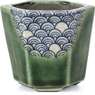  Satomi Mazan, Mazan Terahata Pot à bonsaï vert hexagonal 73 mm par Terahata Satomi Mazan, Tokoname, Japon