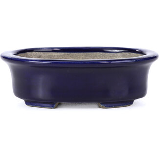  Satomi Mazan, Mazan Terahata Vaso per bonsai blu ovale da 110 mm di Terahata Satomi Mazan, Tokoname, Giappone