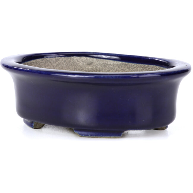 Ovale blauwe bonsaipot van Terahata Satomi Mazan - 110 x 85 x 33 mm