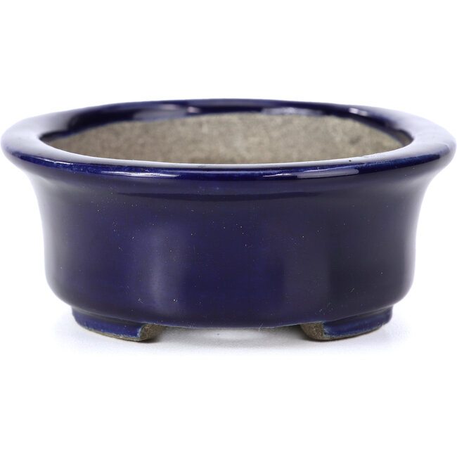 Ovale blaue Bonsaischale von Terahata Satomi Mazan - 110 x 85 x 33 mm
