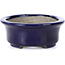 Oval blue bonsai pot by Terahata Satomi Mazan - 110 x 85 x 33 mm