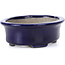 Oval blue bonsai pot by Terahata Satomi Mazan - 110 x 85 x 33 mm