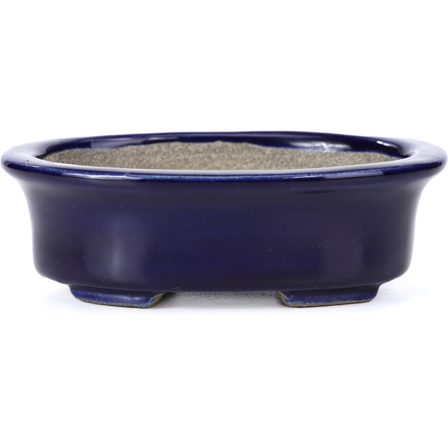 Oval blue bonsai pot by Terahata Satomi Mazan - 110 x 85 x 33 mm