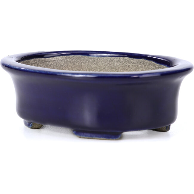 Ovale blaue Bonsaischale von Terahata Satomi Mazan - 110 x 85 x 33 mm