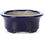 Oval blue bonsai pot by Terahata Satomi Mazan - 110 x 85 x 33 mm