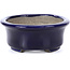 Oval blue bonsai pot by Terahata Satomi Mazan - 110 x 85 x 33 mm