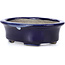 Oval blue bonsai pot by Terahata Satomi Mazan - 110 x 85 x 33 mm