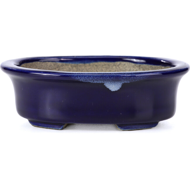 Vaso bonsai blu ovale di Terahata Satomi Mazan - 110 x 85 x 33 mm