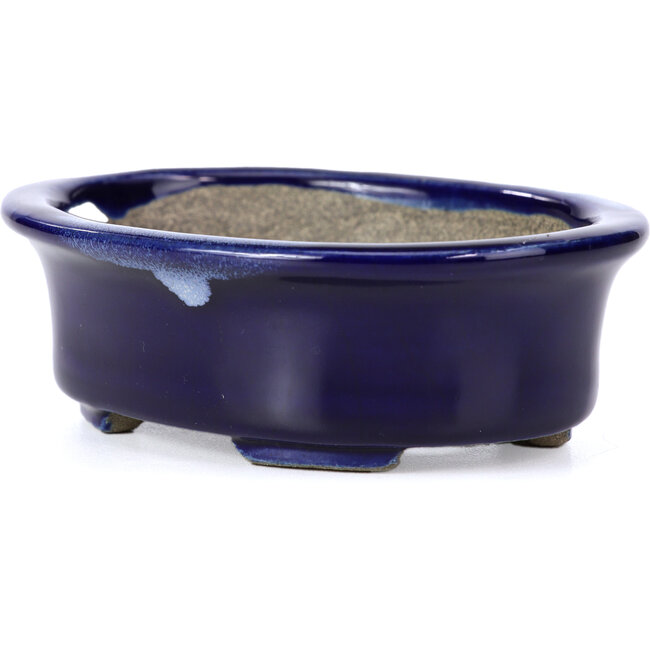 Ovale blauwe bonsaipot van Terahata Satomi Mazan - 110 x 85 x 33 mm