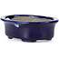 Ovale blauwe bonsaipot van Terahata Satomi Mazan - 110 x 85 x 33 mm