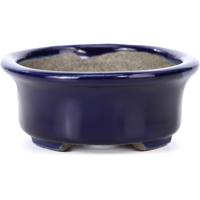 Oval blue bonsai pot by Terahata Satomi Mazan - 110 x 85 x 33 mm