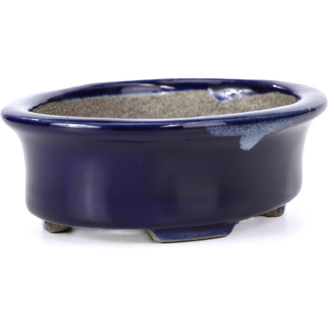 Vaso bonsai blu ovale di Terahata Satomi Mazan - 110 x 85 x 33 mm