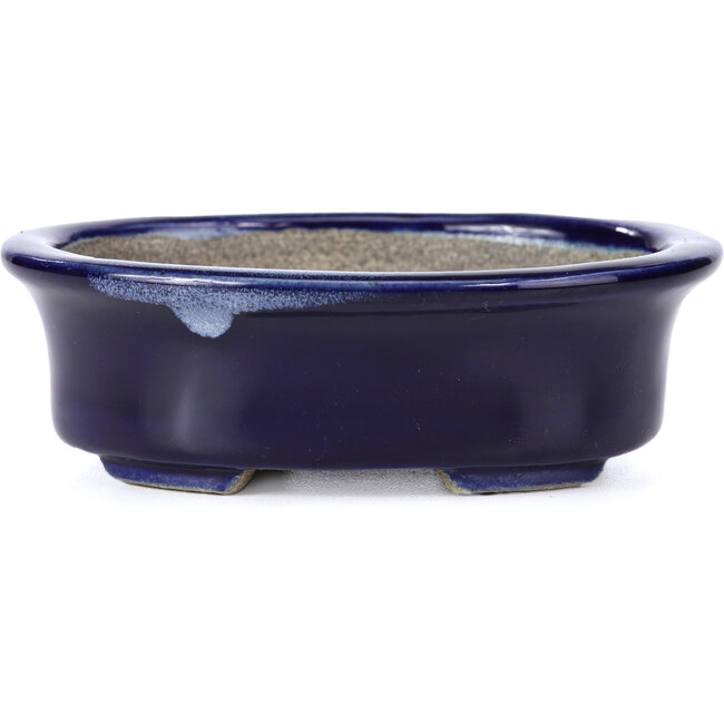 Ovale blauwe bonsaipot van Terahata Satomi Mazan - 110 x 85 x 33 mm