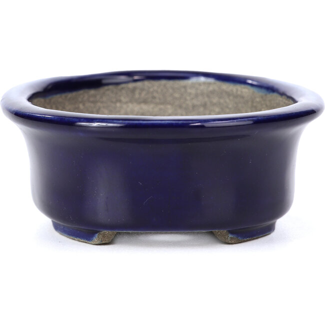 Vaso bonsai blu ovale di Terahata Satomi Mazan - 110 x 85 x 33 mm