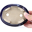 Ovale blauwe bonsaipot van Terahata Satomi Mazan - 110 x 85 x 33 mm