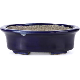  Satomi Mazan, Mazan Terahata Vaso per bonsai blu ovale da 110 mm di Terahata Satomi Mazan, Tokoname, Giappone