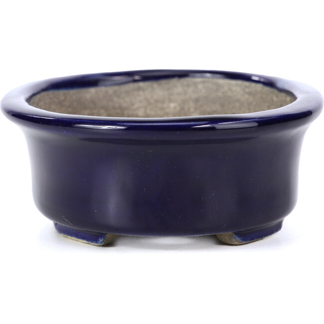 Ovale blauwe bonsaipot van Terahata Satomi Mazan - 110 x 85 x 33 mm