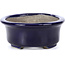 Oval blue bonsai pot by Terahata Satomi Mazan - 110 x 85 x 33 mm