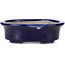 Ovale blaue Bonsaischale von Terahata Satomi Mazan - 110 x 85 x 33 mm
