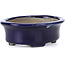 Oval blue bonsai pot by Terahata Satomi Mazan - 110 x 85 x 33 mm