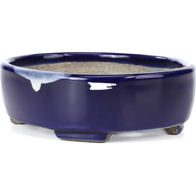 Ovale blauwe bonsaipot van Terahata Satomi Mazan - 160 x 132 x 47 mm