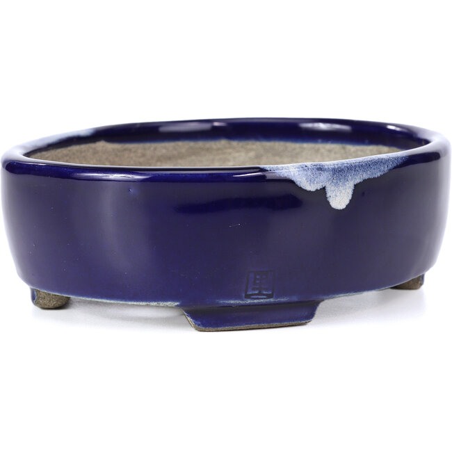 Maceta de bonsái azul ovalada de Terahata Satomi Mazan - 160 x 132 x 47 mm